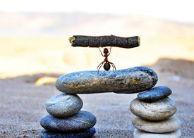 欢迎使用Z-BlogPHP!